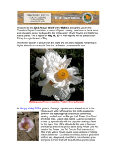 May 16, 2014 – Word Doc - Theodore Payne Foundation