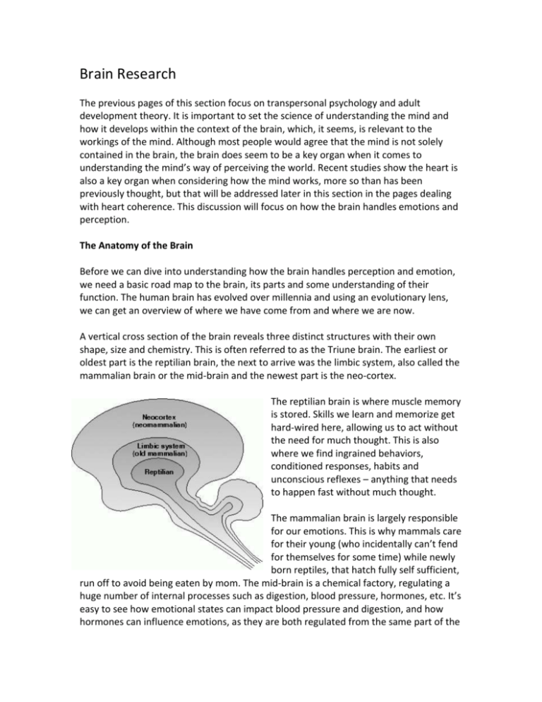 research paper for brain
