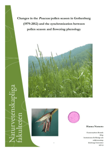 Poaceae pollen season - Institutionen för biologi och miljövetenskap