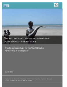 Natural capital accounting and management of the Malagasy