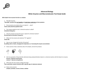 SB1bc Enzymes and Macromolecules Test Study Guide