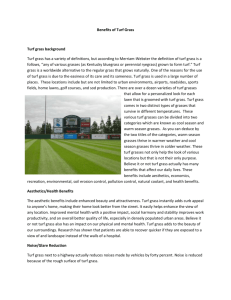 Benefits of Turf Grass Turf grass background Turf grass has a variety