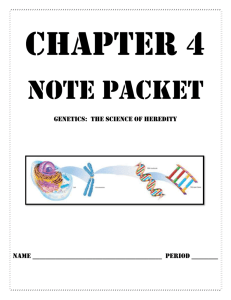Ch 4 Note Packet