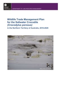 Wildlife Trade Management Plan for the Saltwater Crocodile