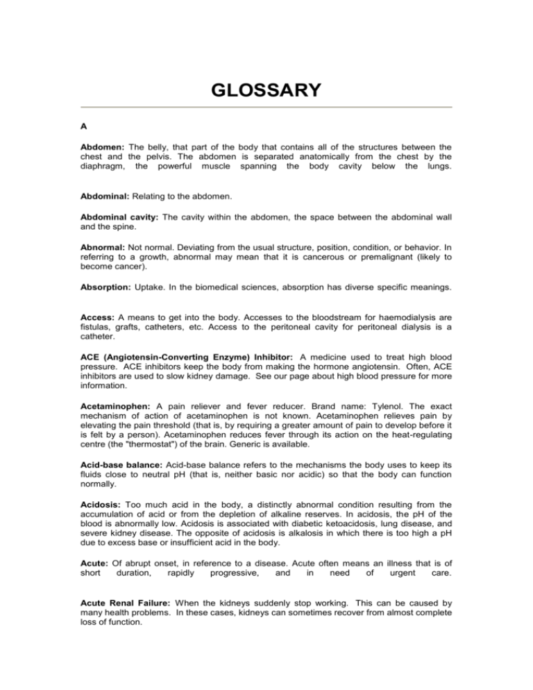 masters thesis glossary