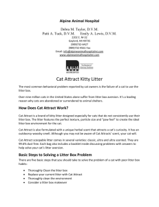 cat attract litter information