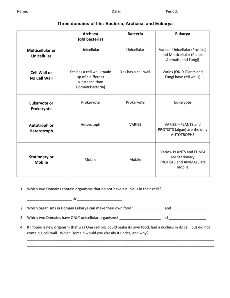 4 Eukaryotic Kingdoms Chart