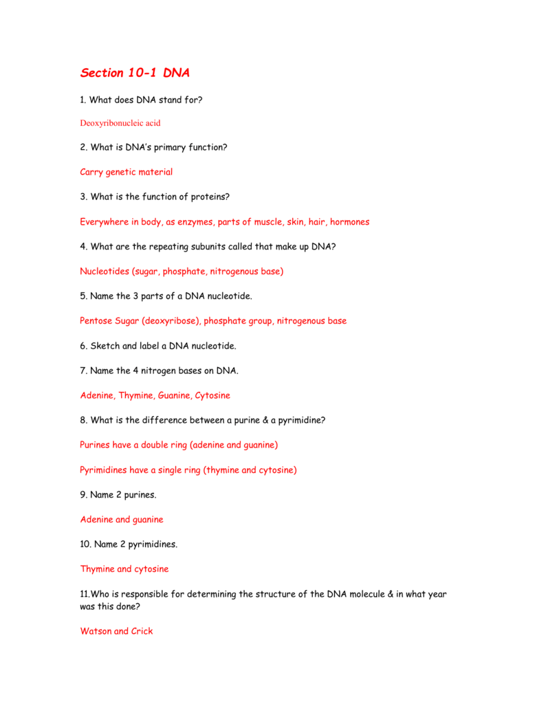 protein-synthesis-answer-key