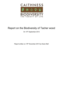 Report on the Biodiversity of Tacher wood 2013