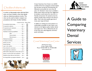 Dental-Brochure