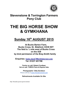 Stevenstone & Torrington Farmers Pony Club