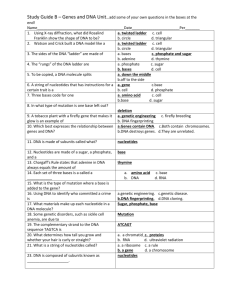 Study Guide B – Genes and DNA Unit…add some of your own