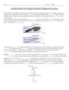 Flight, Feathers & Migration Guided Notes