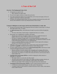 CHAPTER 7 A TOUR OF THE CELL