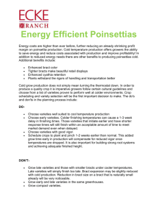 Energy Efficient Poinsettias