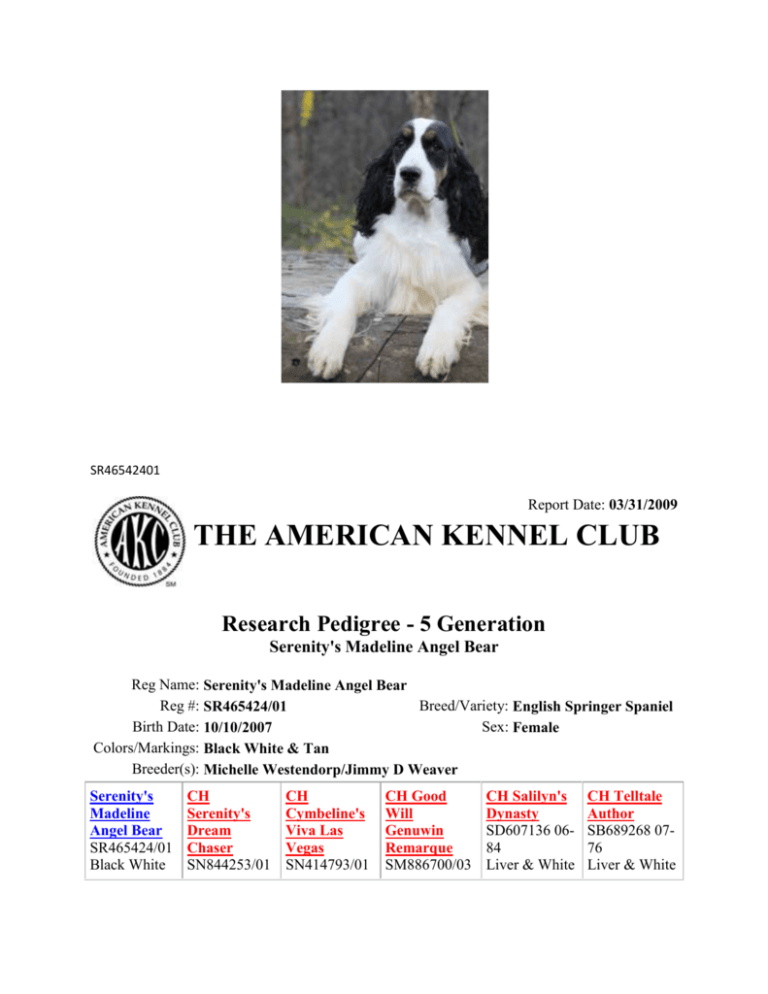 American kennel club pedigree search Clearance