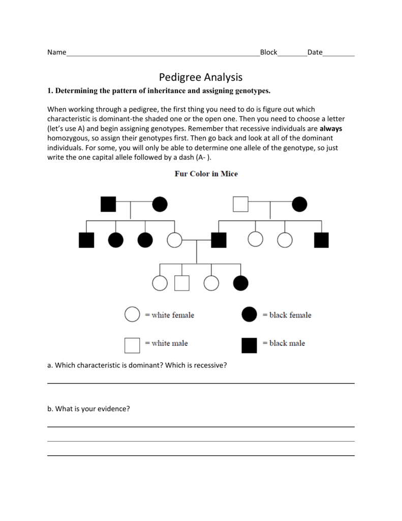Pedigree Chart Practice Worksheet