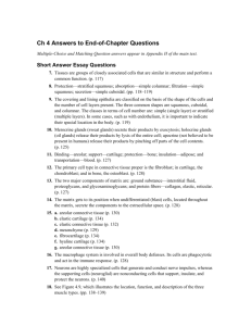 Ch 4 Answers to End-of-Chapter Questions