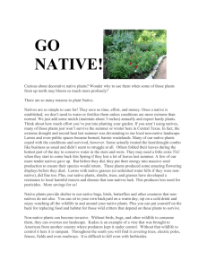 Go Native! - Keep Waco Beautiful