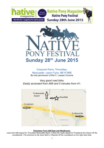 Schedule - Native Pony Festival