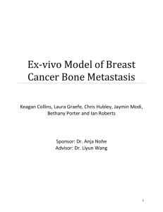 Ex-vivo Model of Breast Cancer Bone Metastasis