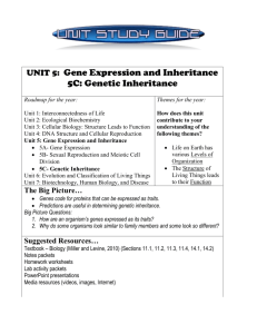 Unit 5: Gene Expression and Inheritance