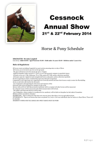 Cessnock Annual Show - emmaswebsite.com.au