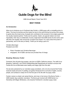 meet ferdie - Guide Dogs for the Blind
