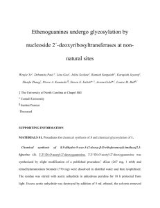 Ethenoguanines undergo glycosylation by nucleoside 2