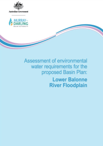 Assessment of the Lower Balonne River Floodplain System