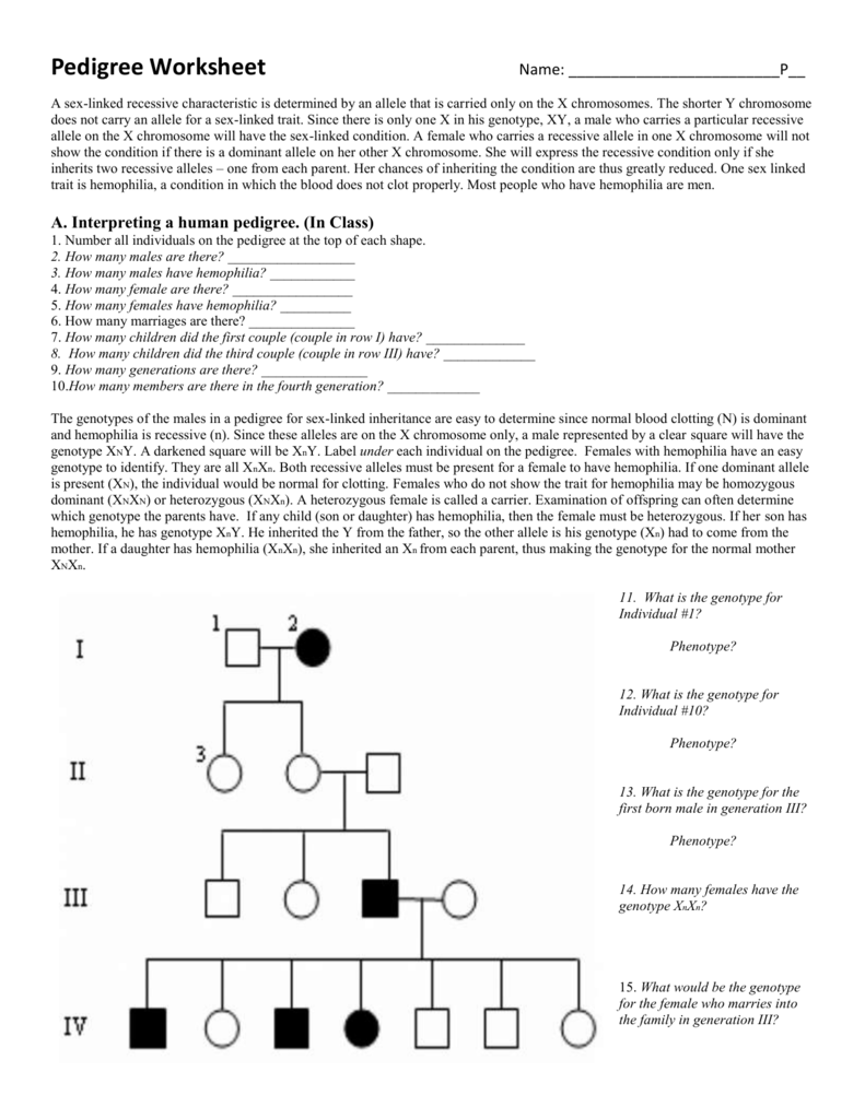 Pedigree Chart Worksheet With Answer Key