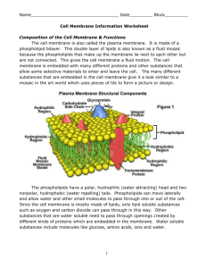 Cell membrane info worksheet