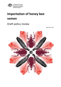 Importation of honey bee semen