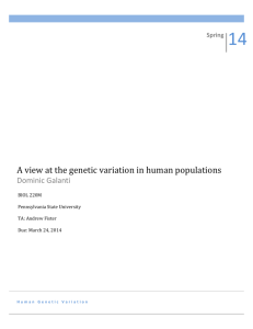 A view at the genetic variation in human populations
