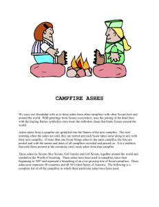 campfire ashes