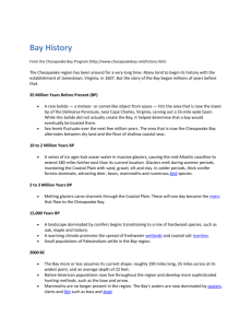 Bay History – Timeline - Sultana Education Foundation