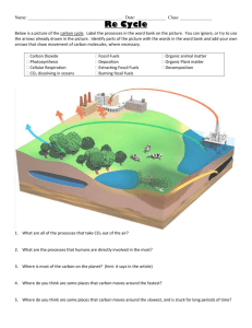 The Carbon Cycle - Rufus King Biology