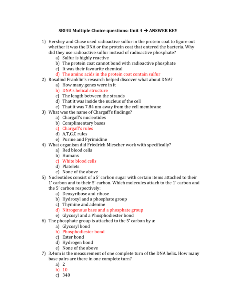 Multiple Choice Worksheet Answers