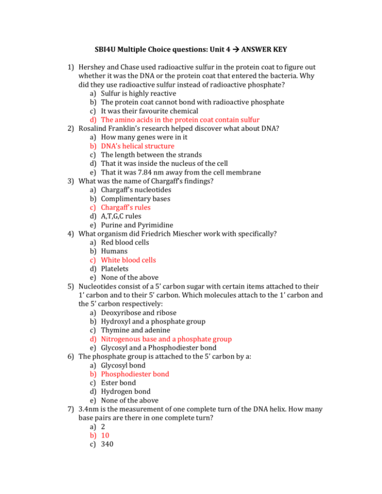 Exam GCP-GCX Study Solutions