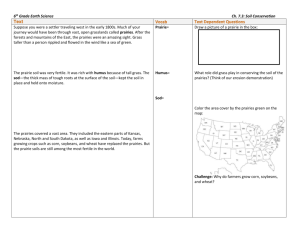 6th Grade Earth Science Ch. 7.3: Soil Conservation Text Vocab Text