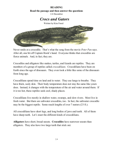2 4 Crocs and Gators
