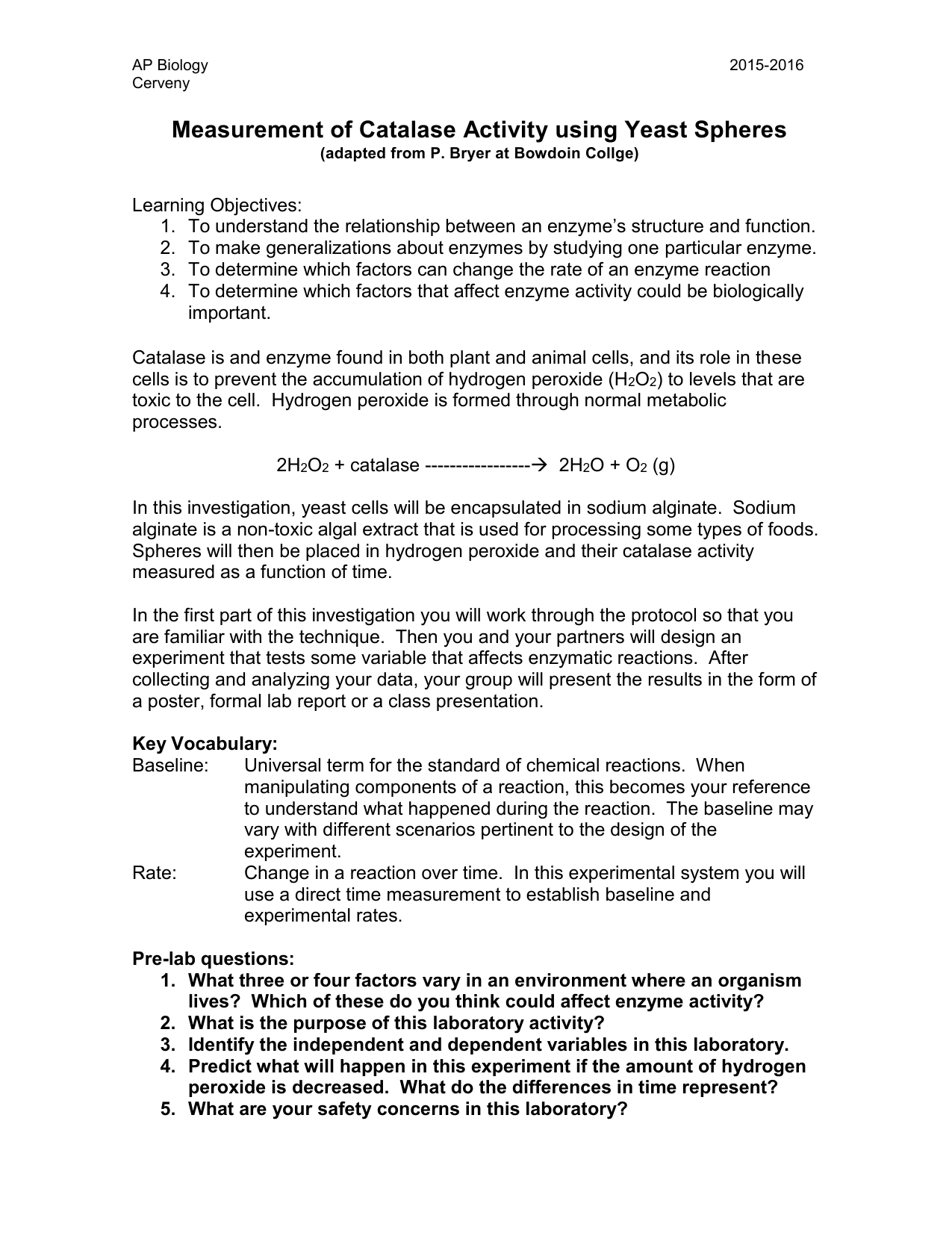 Enzyme Rate Of Reaction Lab Report