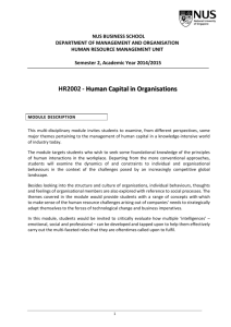 Human Capital in Organisations