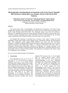 Biostratigraphy and depositional environments of the Early Eocene