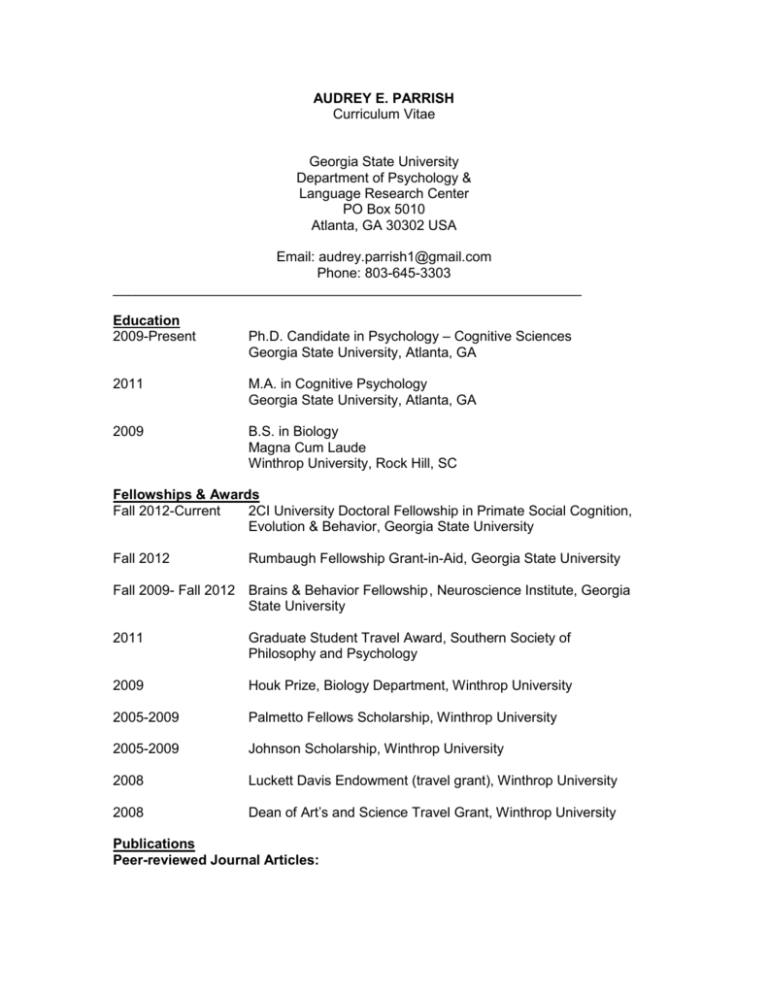 CV Georgia State University