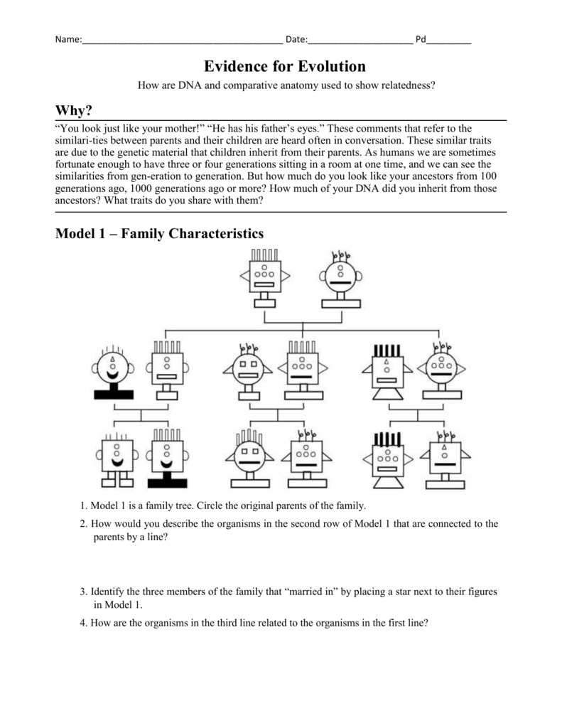 Evidence For Evolution Worksheet Answers