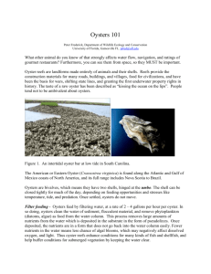 Oysters 101 Peter Frederick, Department of Wildlife Ecology and