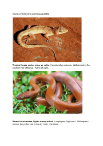 Atlas Kenya`s Common Reptiles