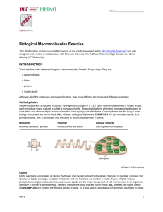 Biological Macromolecules Exercise - mit