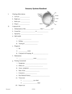 Lecture 7 Handout: Sensory System